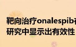 靶向治疗onalespib在胶质母细胞瘤的临床前研究中显示出有效性