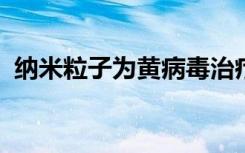 纳米粒子为黄病毒治疗提供了有希望的平台