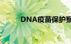 DNA疫苗保护猴子免受寨卡病毒