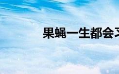 果蝇一生都会习惯它们的体型