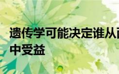 遗传学可能决定谁从西兰花对肾脏健康的影响中受益