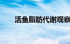 活鱼脂肪代谢观察实时脂质生物化学