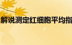 解说测定红细胞平均指数有哪些临床上的意义