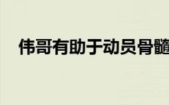 伟哥有助于动员骨髓干细胞进行小鼠移植