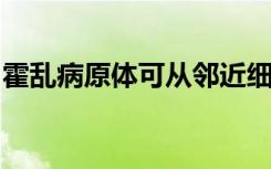 霍乱病原体可从邻近细菌中获取大量遗传物质