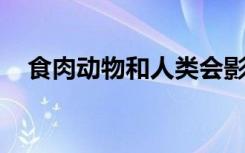 食肉动物和人类会影响长颈鹿的社交行为