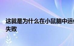 这就是为什么在小鼠脑中运作良好的药物通常在人类中惨遭失败