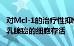 对Mcl-1的治疗性抑制可阻断雌激素受体阳性乳腺癌的细胞存活