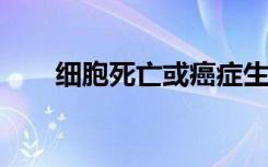 细胞死亡或癌症生长时凝聚力的问题