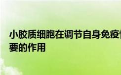 小胶质细胞在调节自身免疫性疾病的神经炎症中起着至关重要的作用