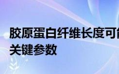 胶原蛋白纤维长度可能是正常细胞用于侵袭的关键参数