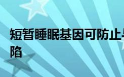 短暂睡眠基因可防止与睡眠剥夺有关的记忆缺陷