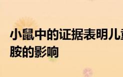 小鼠中的证据表明儿童哮喘受到神经递质多巴胺的影响