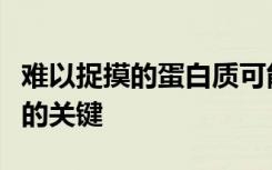 难以捉摸的蛋白质可能是消除被忽视的热带病的关键