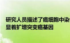 研究人员描述了癌细胞中染色体外DNA的圆形3D形状如何显着扩增突变癌基因