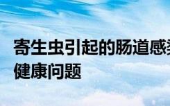 寄生虫引起的肠道感染已被认为是一种全球性健康问题