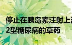 停止在胰岛素注射上浪费钱公务员放弃了反转2型糖尿病的草药