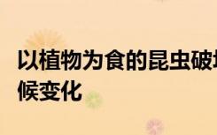 以植物为食的昆虫破坏了生态系统并促进了气候变化