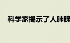 科学家揭示了人肺腺癌的完整蛋白质组图