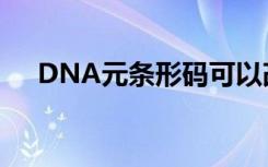 DNA元条形码可以改善人类饮食的分析