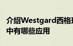 介绍Westgard西格玛规则在实验室质量管理中有哪些应用