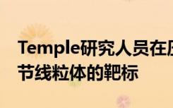 Temple研究人员在压力过程中发现了新的调节线粒体的靶标