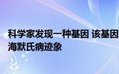 科学家发现一种基因 该基因可以自然抑制脑细胞中的阿尔茨海默氏病迹象