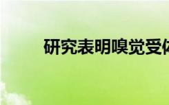 研究表明嗅觉受体不仅与嗅觉有关