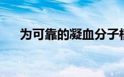 为可靠的凝血分子模型的未来奠定方向