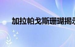 加拉帕戈斯珊瑚揭示了海洋变暖的证据