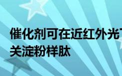 催化剂可在近红外光下降解阿尔茨海默氏症相关淀粉样肽