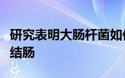 研究表明大肠杆菌如何知道何时何地开始定植结肠