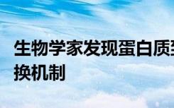 生物学家发现蛋白质到蛋白质类胡萝卜素的交换机制