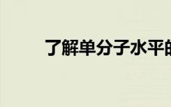 了解单分子水平的转运蛋白的机制