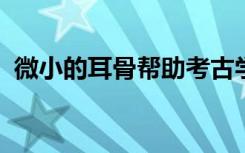 微小的耳骨帮助考古学家将过去拼凑在一起