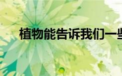 植物能告诉我们一些关于长寿的事情吗