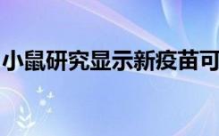 小鼠研究显示新疫苗可预防广泛而昂贵的感染