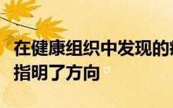 在健康组织中发现的癌前特征为新的治疗方法指明了方向