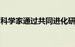 科学家通过共同进化研究发现了数百种蛋白质