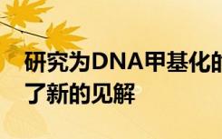 研究为DNA甲基化的变化如何导致疾病提供了新的见解