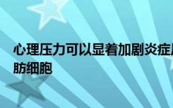 心理压力可以显着加剧炎症反应的免疫系统反应源自棕色脂肪细胞