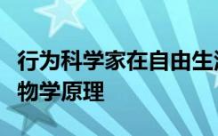 行为科学家在自由生活的阿萨姆猕猴上测试生物学原理