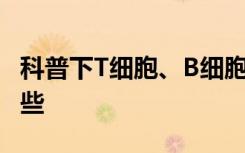 科普下T细胞、B细胞和NK细胞表面标志有哪些