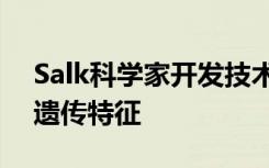 Salk科学家开发技术来揭示大脑细胞的表观遗传特征