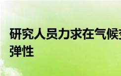 研究人员力求在气候变化的情况下使树木更具弹性