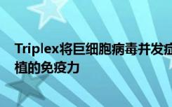 Triplex将巨细胞病毒并发症减少了一半 并诱导了干细胞移植的免疫力