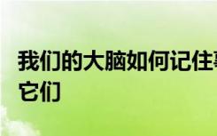 我们的大脑如何记住事物取决于我们如何学习它们