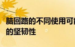 脑回路的不同使用可能有助于解释创伤后应激的坚韧性