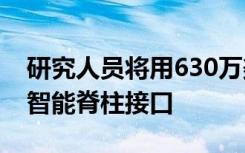 研究人员将用630万美元的DARPA资金开发智能脊柱接口