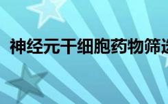 神经元干细胞药物筛选治疗阿尔茨海默氏病